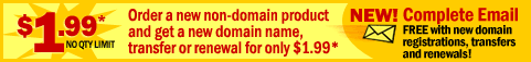 New! All Website Domain Names now include Free Email when registered, transfered or renewed at GoWebsite.com!